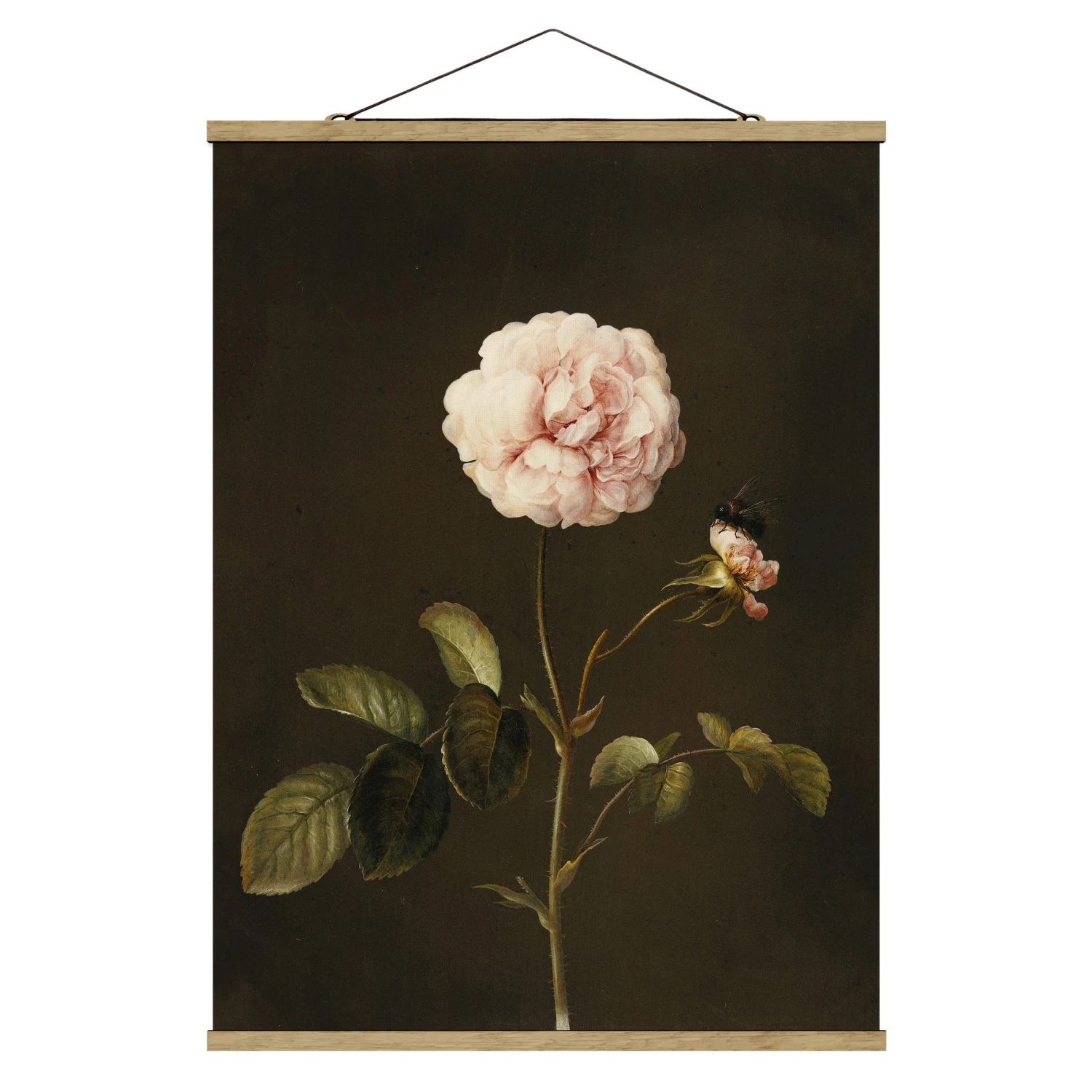 Stoffbild - Barbara Regina Dietzsch - Essig-Rose Mit Hummel In Braun